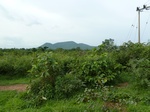 18661P1000499.JPG