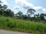 20627P1020484.JPG