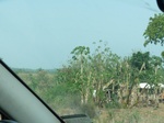 51574P1000753.JPG