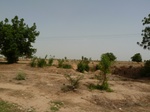 19088P1000933.JPG
