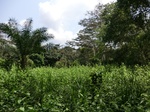 46488CIMG0777.JPG