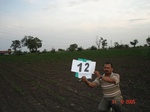 6119012b-irrigated-canal-cotton-farmfallow-chilli-rice.jpg
