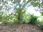 21022P1020892.JPG