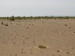 36715CIMG0484.JPG
