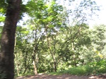 15423IMG_4289.JPG