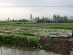 52082CIMG0083.JPG