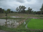 33293IMG_5623.JPG