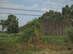 34473IMG_5456.JPG
