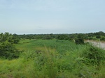 18766P1000604.JPG