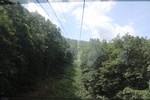 2024-08-05_13-51-16_182860BD-4C4E-4735-86E0-5F4316DD664E.jpeg