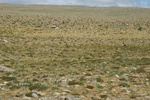 27541DSC_8056.JPG