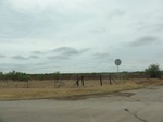 35974DSC02745.JPG