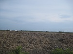 14279IMG_4619.JPG