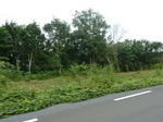 25939P1020358.JPG
