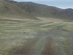 22828P1020064.JPG