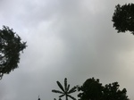 45265CIMG2350.JPG