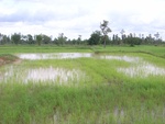 33410RIMG0150.JPG