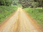 48383CIMG4720.JPG