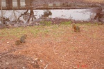9627THA104.JPG