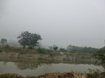 40209CIMG9106.JPG