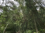 49538CIMG5875.JPG