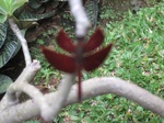 16585IMG_5372.JPG