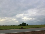 56075CIMG6764.JPG