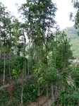 53524CIMG6869.JPG