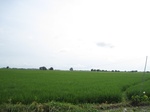 14304IMG_4644.JPG