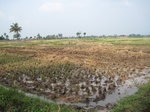 13901IMG_4183.JPG