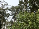 48047CIMG4384.JPG