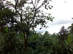5539100_0918.JPG