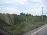 26688IMG_3294.JPG