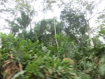 48147CIMG4484.JPG