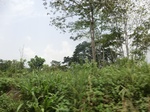 48964CIMG5301.JPG