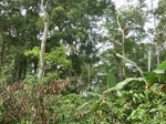 48206CIMG4543.JPG