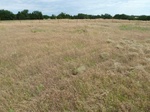 54027GUTH20120601GPS.JPG