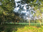 31926IMG_5715.JPG