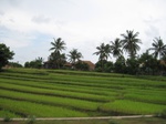 14251IMG_4591.JPG