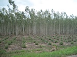 33368IMG_5708.JPG