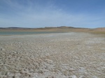 22463P1010616.JPG