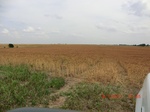 29438CIMG0715.JPG