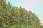 2024-08-05_13-59-35_6C045972-115C-4D99-91CB-4C68D94CFD84.jpeg