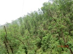 53670CIMG7048.JPG