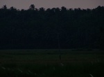 543510052008(56).JPG