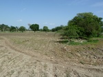 19322P1010168.JPG