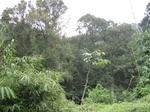 15311IMG_4149.JPG