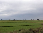 56081CIMG6770.JPG