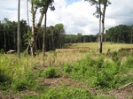 15464IMG_4533.JPG