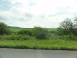 24892DSC01109.JPG